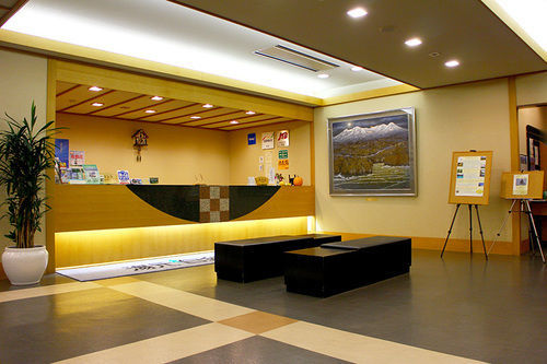旅館 湯元　白金温泉　ホテル 3*